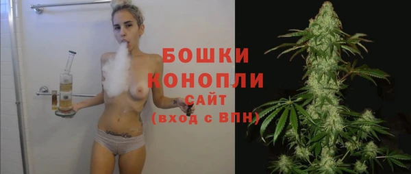 альфа пвп Дмитровск