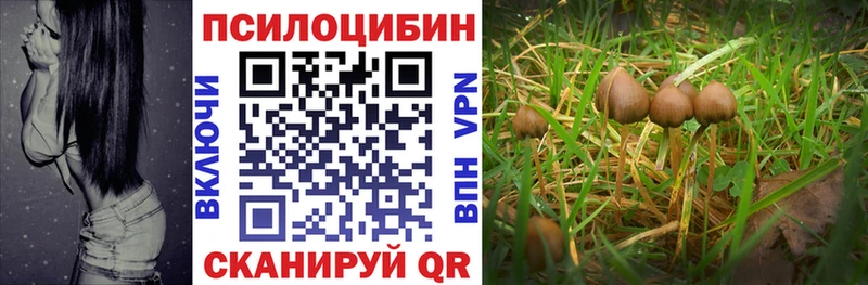 Псилоцибиновые грибы мухоморы Краснокамск