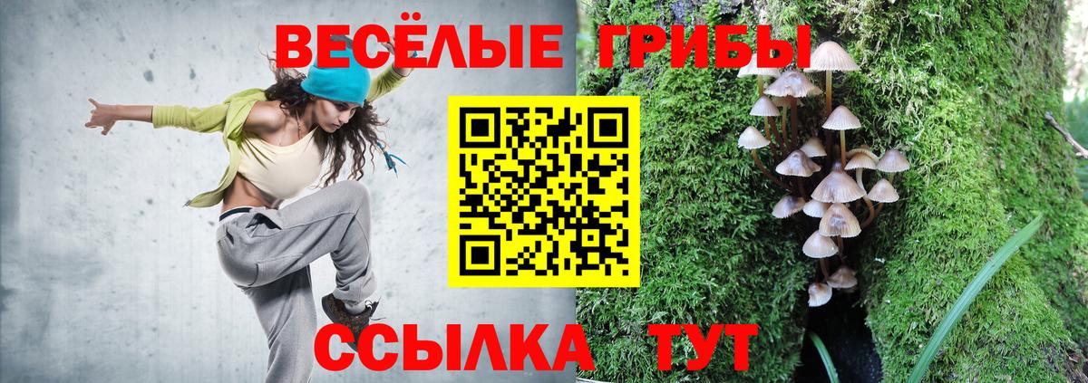 Псилоцибиновые грибы Cubensis Краснокамск